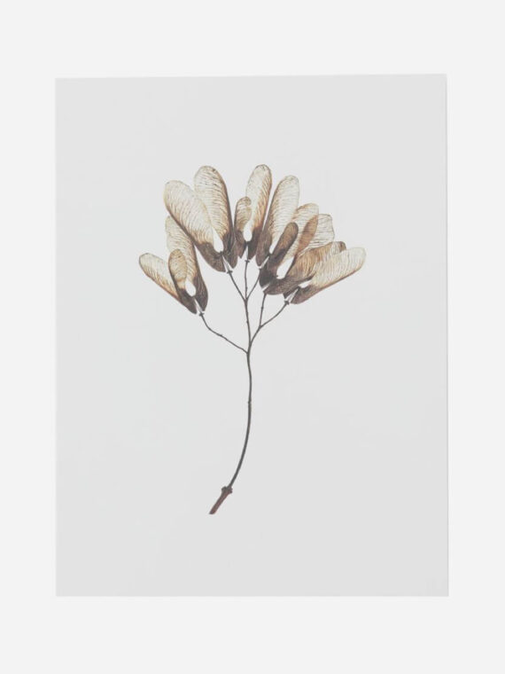 Art Poster