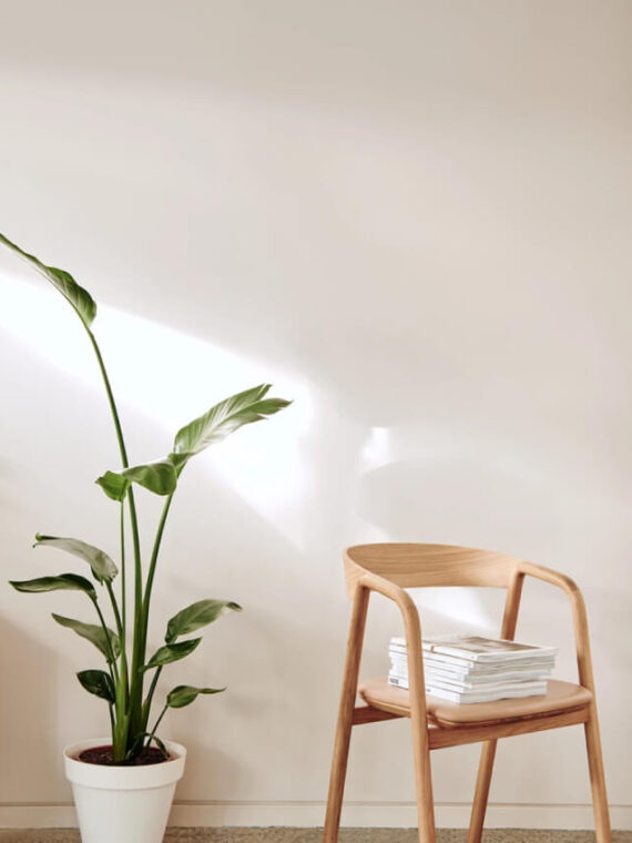 Neutral Wall Paint